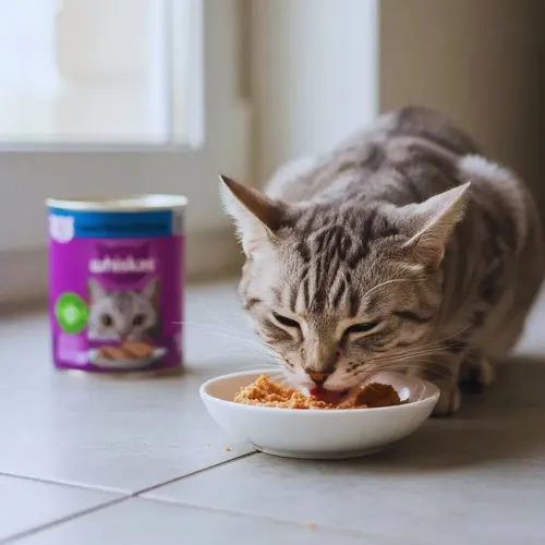 KITZINHO DA FELICIDADE DO MIAU-MIAU