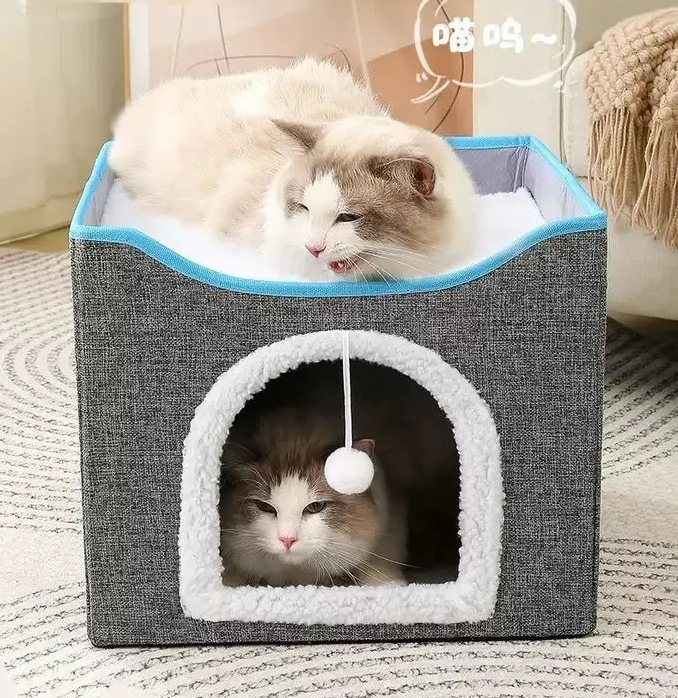 UMA TOCA PRA SUA FERA