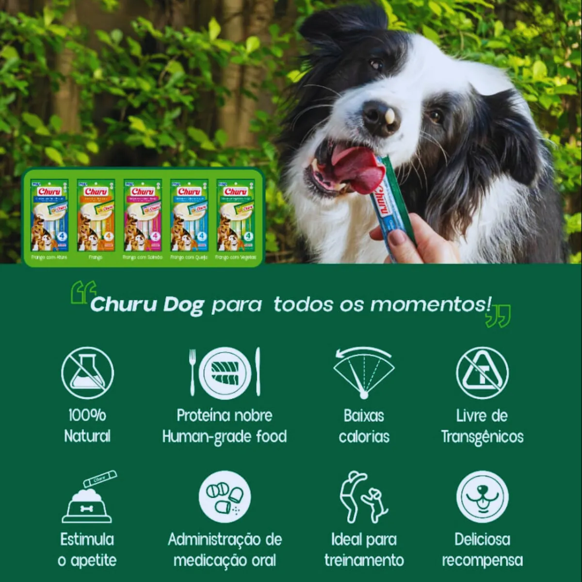 CHURU DE CACHORRO 