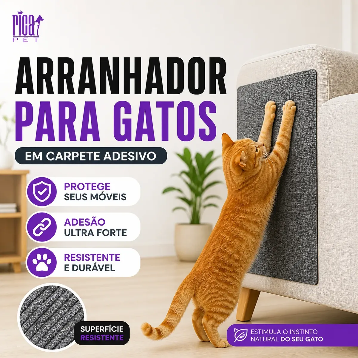 SALVOU TODOS OE MEUS MÓVEIS