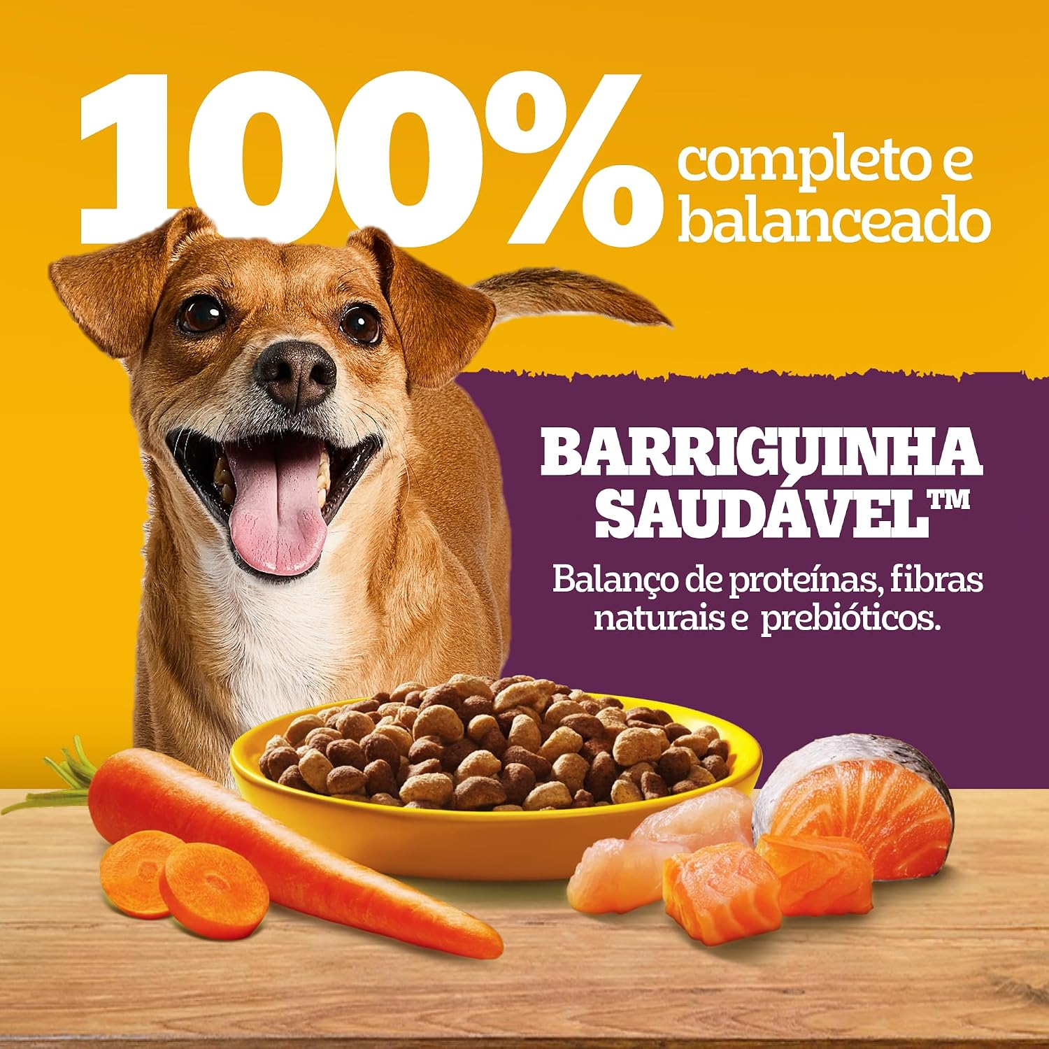SEU CACHORRO VAI COMER IGUAL UM REI