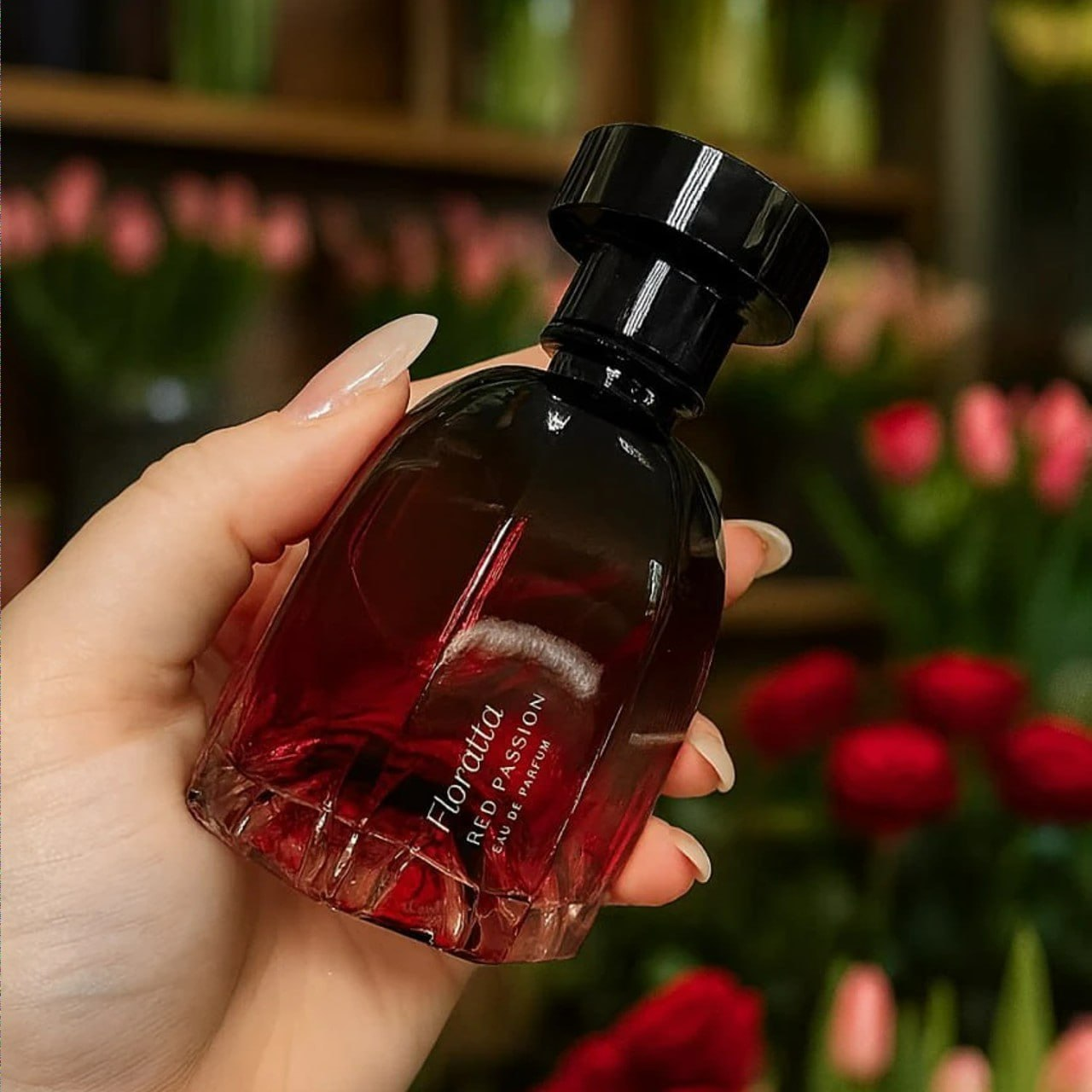 RED PASSION É UM SUCESSO ❤️