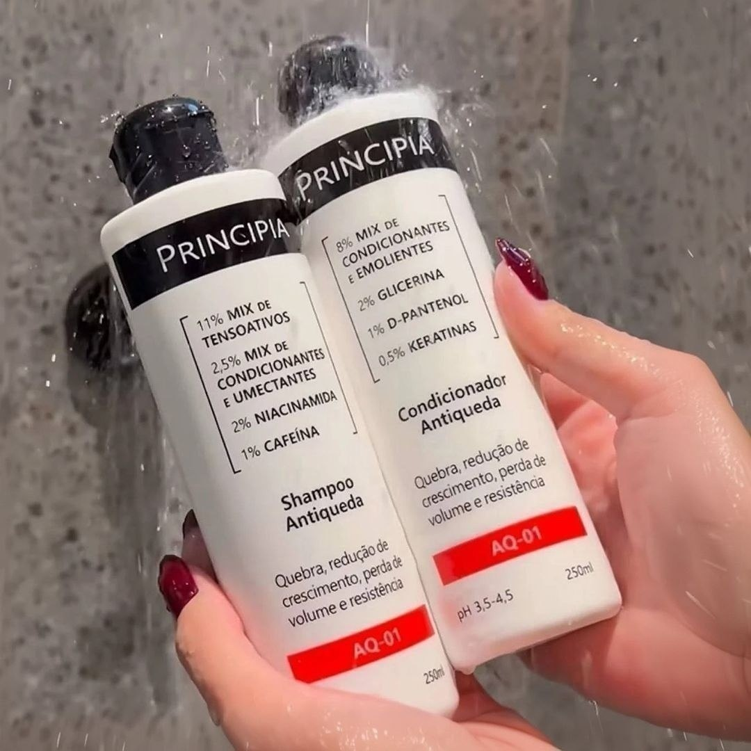 PRINCIPIA VIROU REFERÊNCIA