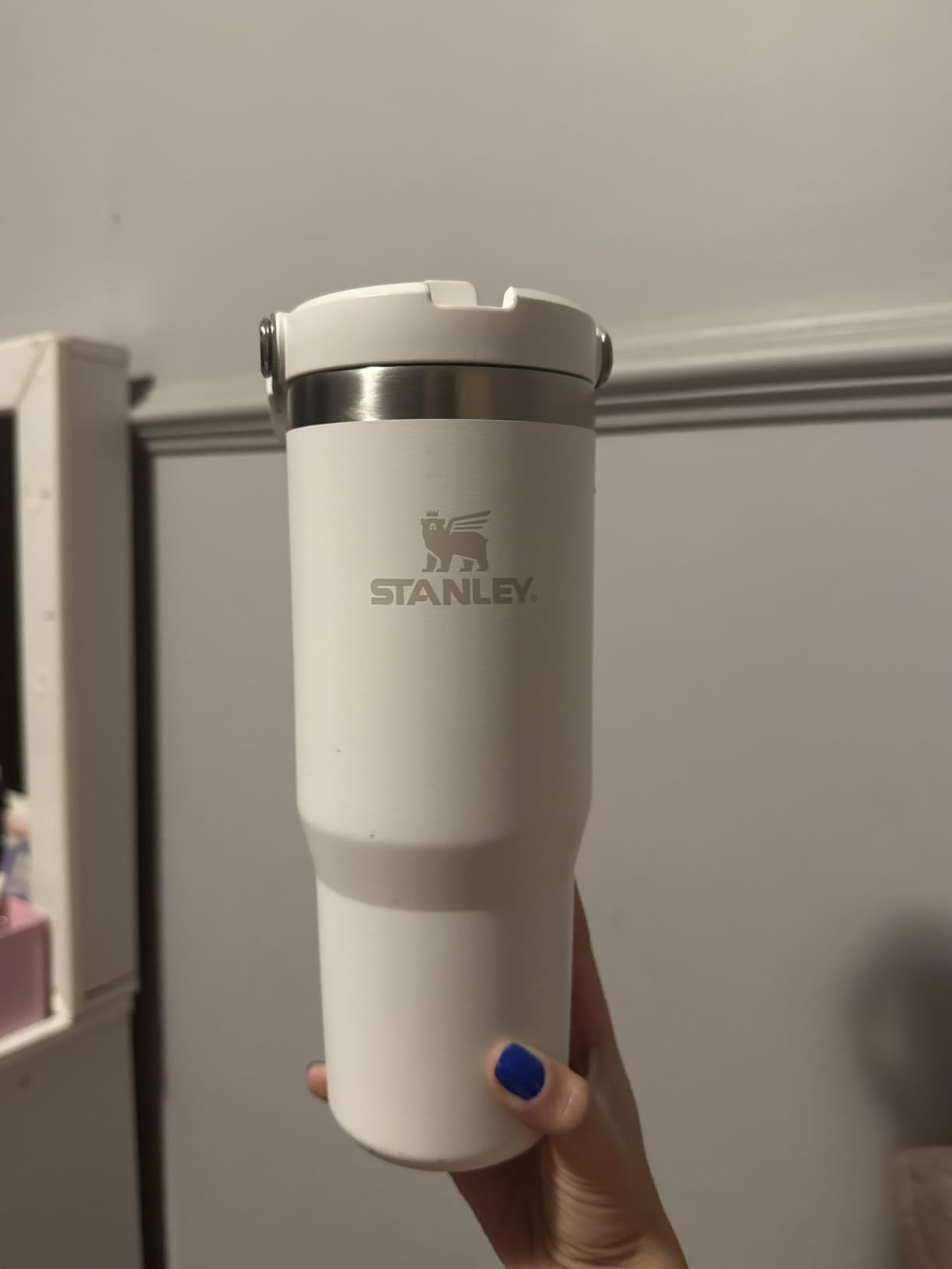 Stanley - Garrafa Térmica IceFlow Flip Straw Isolada em Aço Inoxidável e Reutilizável, Resistente a Vazamentos, 887 ml, Frost
